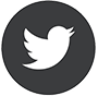 link to Jan Chlup's Twitter